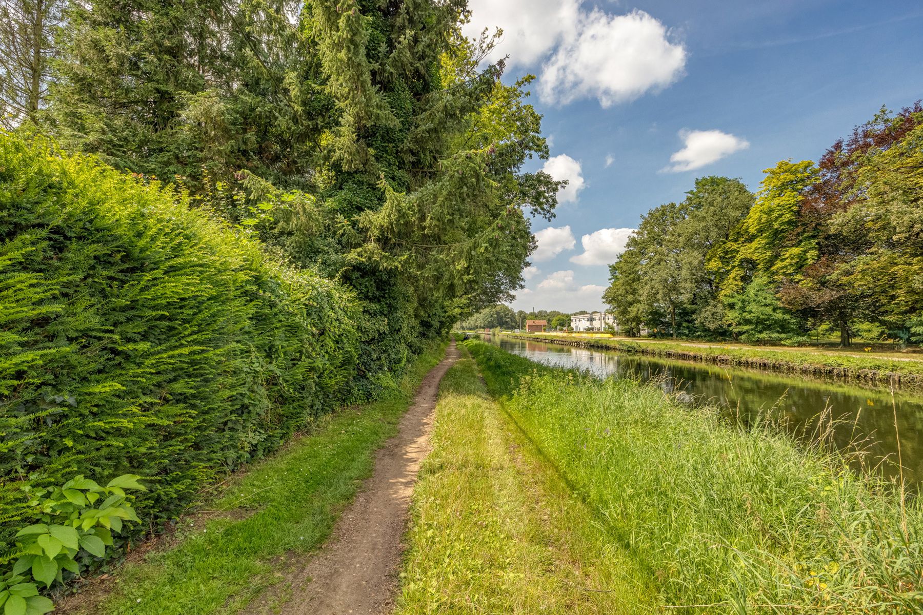 Ruime gezinswoning met vijverpartij op perceel van ca 12.501 m². foto 14