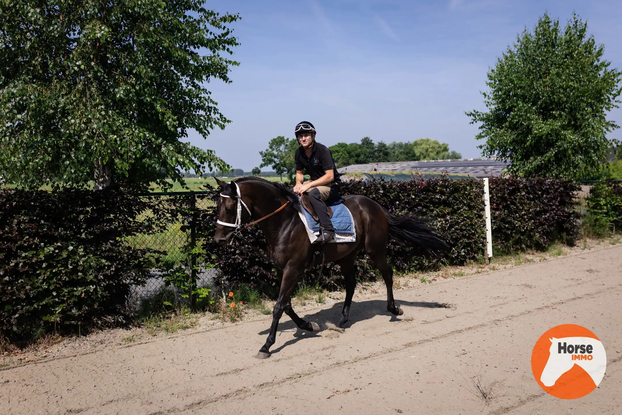 MERELBEKE -  Professioneel paardencomplex op 3,35HA foto 43