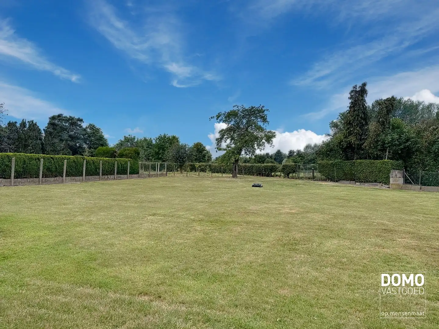 Karaktervolle woning met tal van mogelijkheden en voorzien van paardenstallingen foto 28