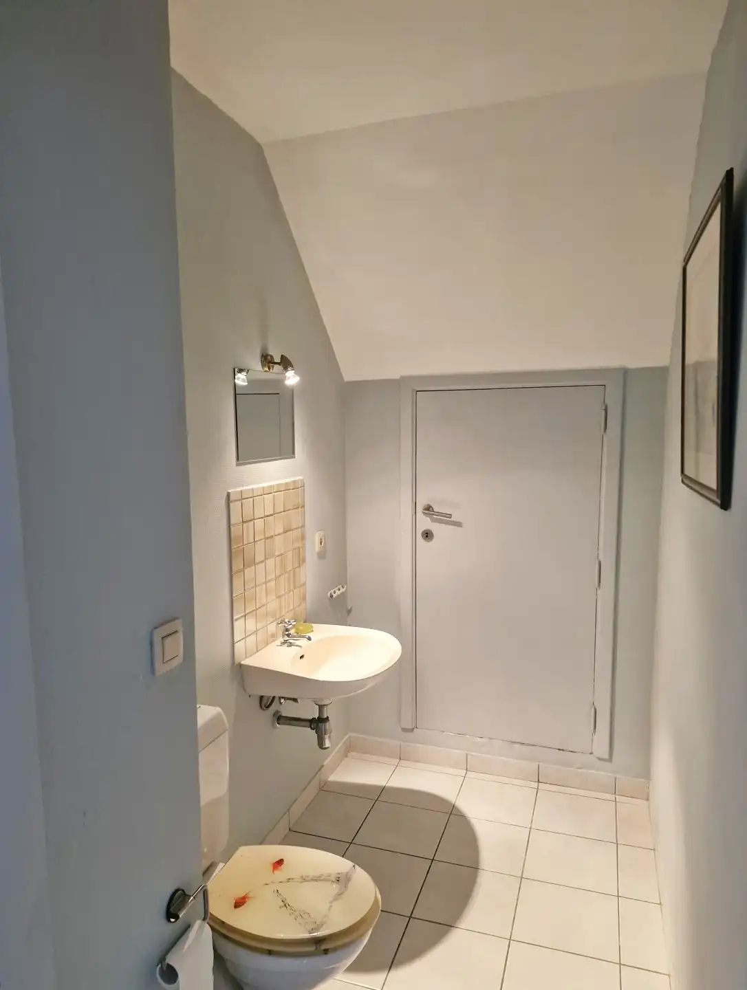 Huis te koop foto 19