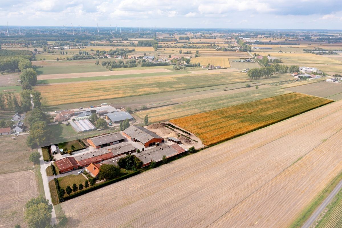 Hoeve op 4,13 ha te koop te Kaprijke foto 13