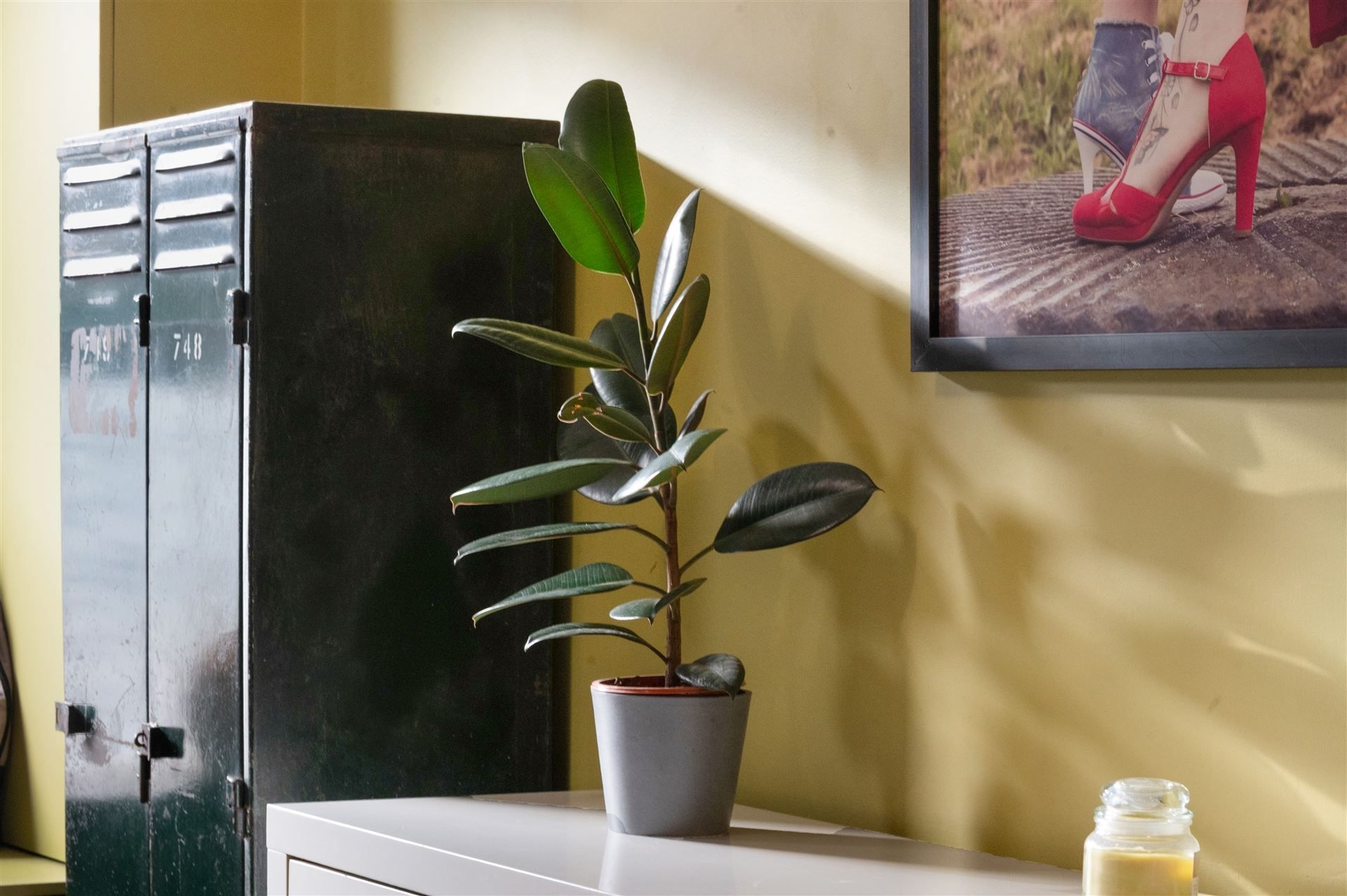 Instapklare rijwoning met 3 slaapkamers op centrale ligging  foto 4