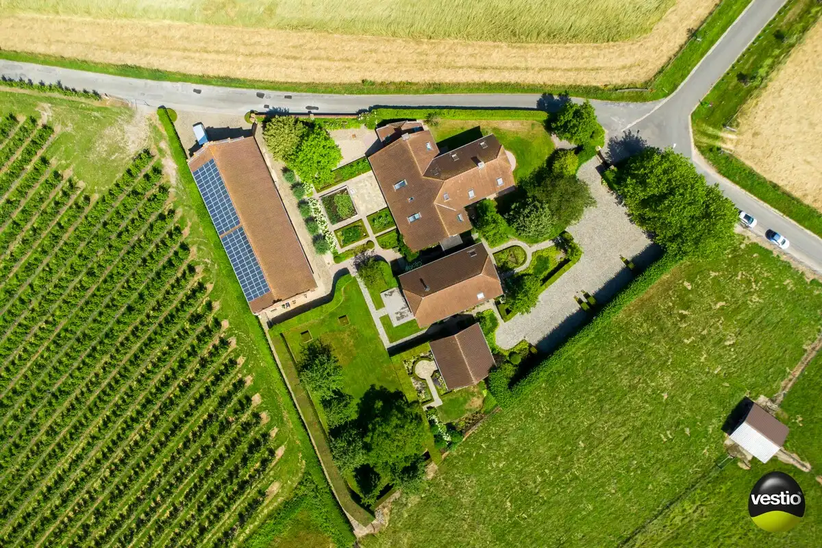 EXCLUSIEVE HOEVE MET MEERDERE WOONGEDEELTES, ATELIER, STALLING en AANPALENDE WEIDE OP CA. 1,6 HECTARE NABIJ DOMEIN NIEUWENHOVEN. foto 7