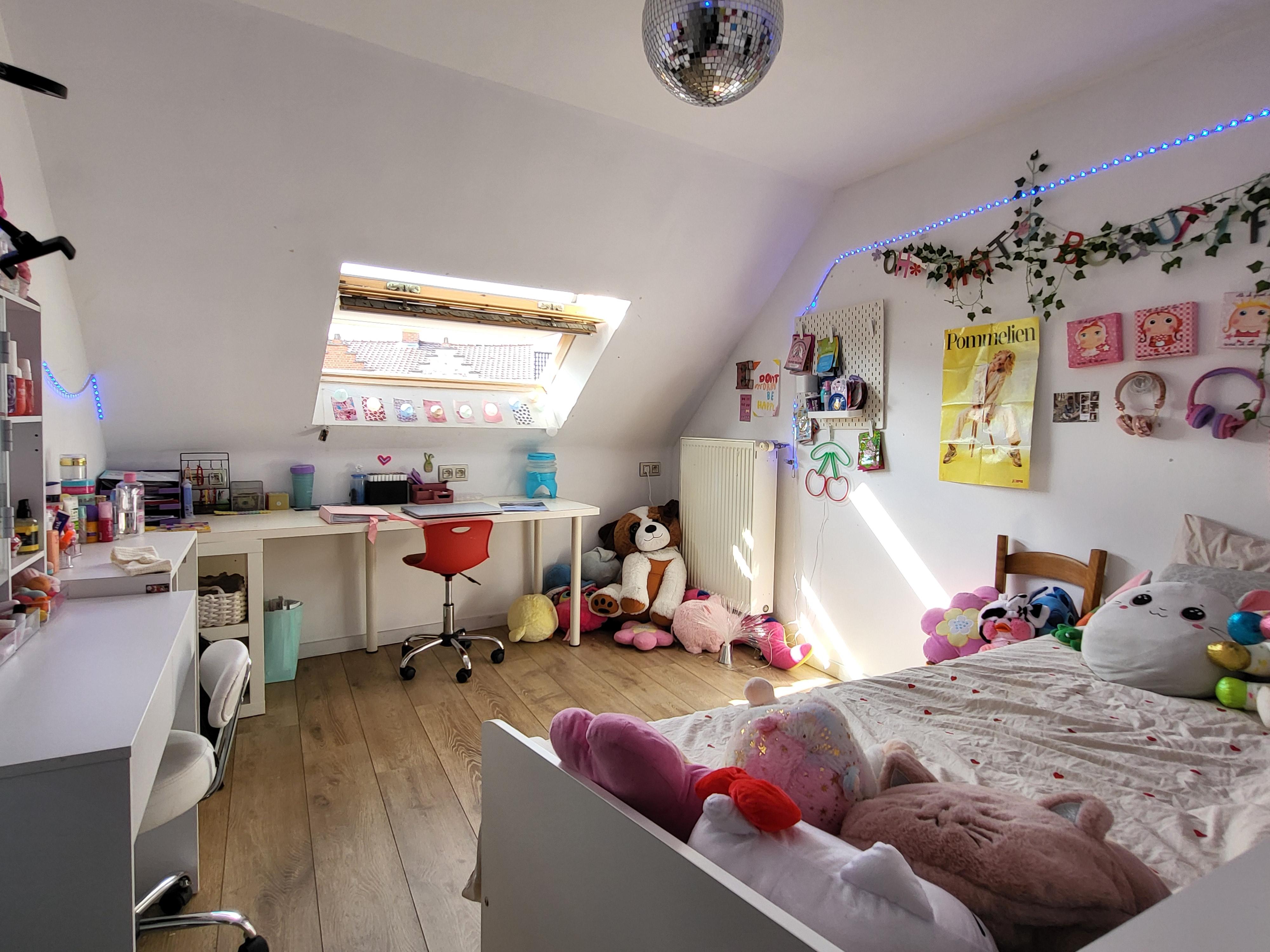 Prachtig gerenoveerde burgerwoning op wandelafstand van het centrum met zuidgerichte tuin.  foto 22