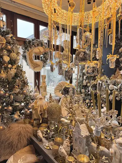 HANDELSPAND MET WOONST OP TOPLOCATIE TE DIEST! foto 18