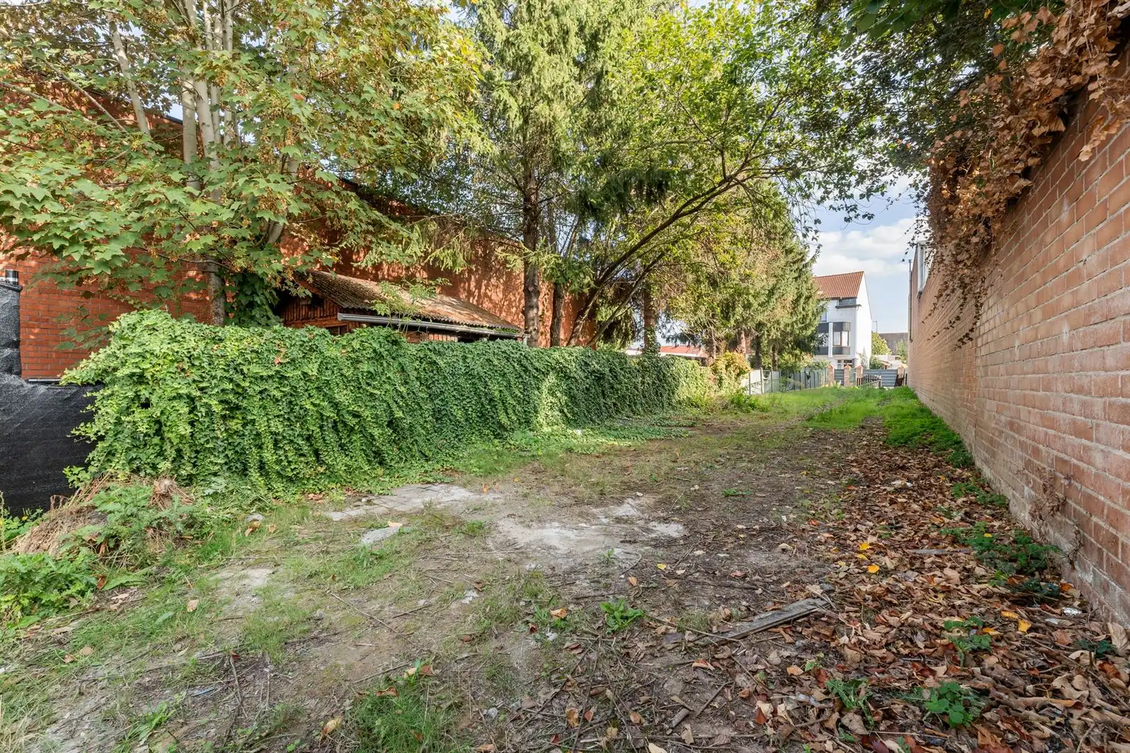 Huis foto 18