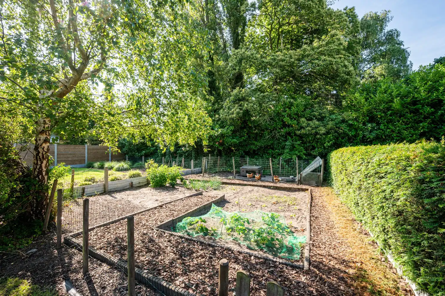 Te renoveren gezinswoning met grote tuin in het centrum van Bassevelde foto 20