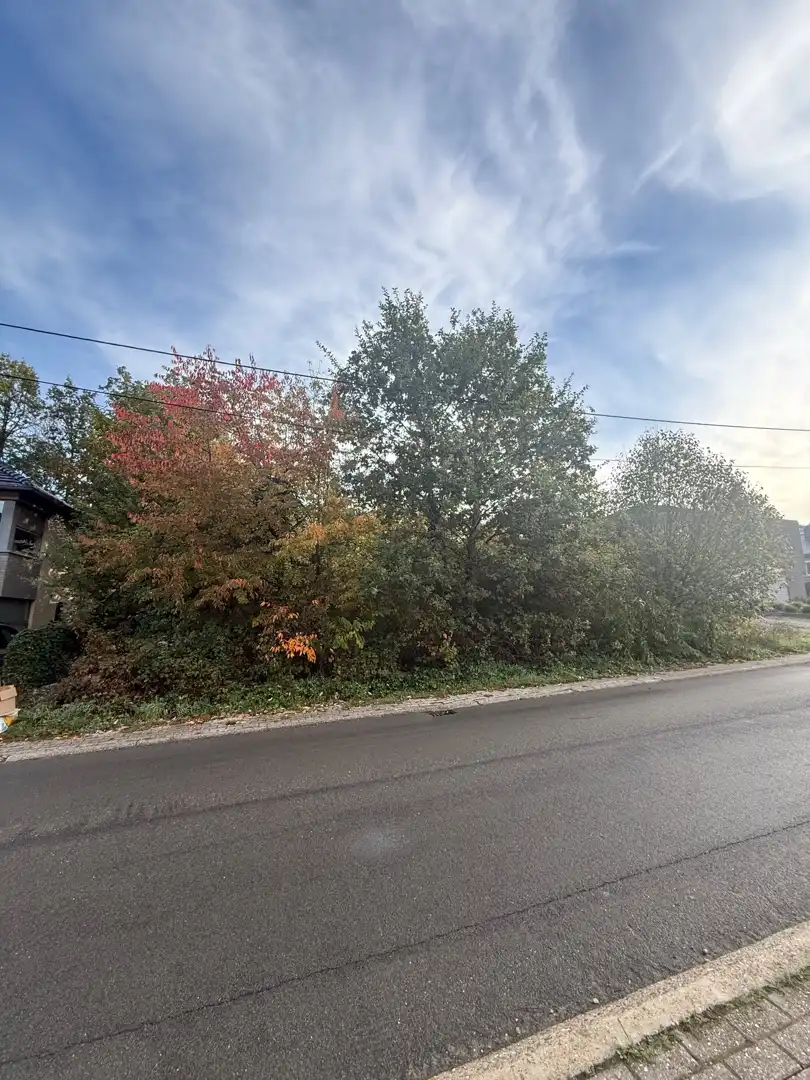 🏡✨ BOUWGROND TE KOOP IN DE LUNSTRAAT TE HOUTHALEN-HELCHTEREN 🌿 foto {{pictureIndex}}