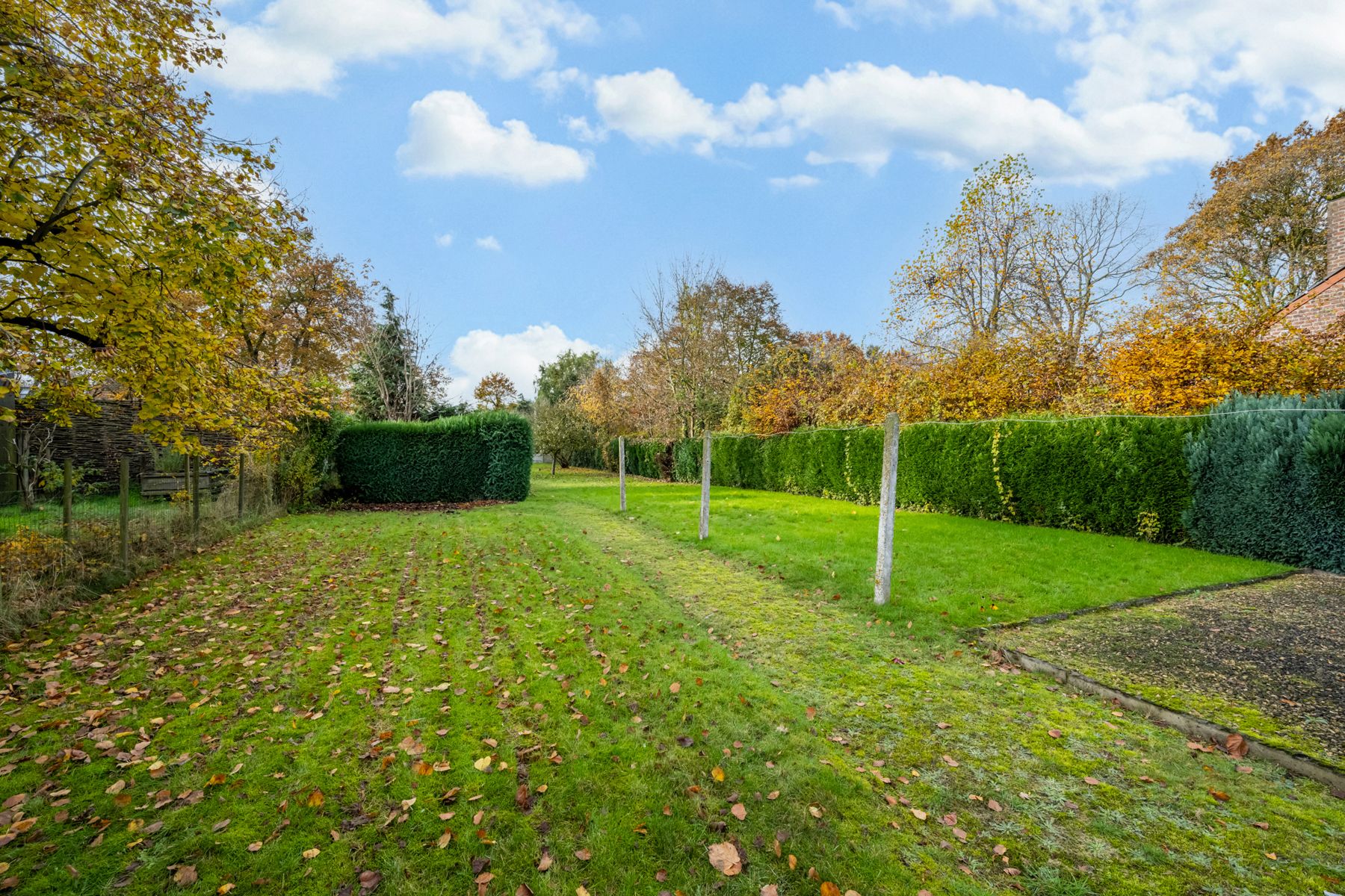 Te renoveren woning op groot perceel grond foto 18