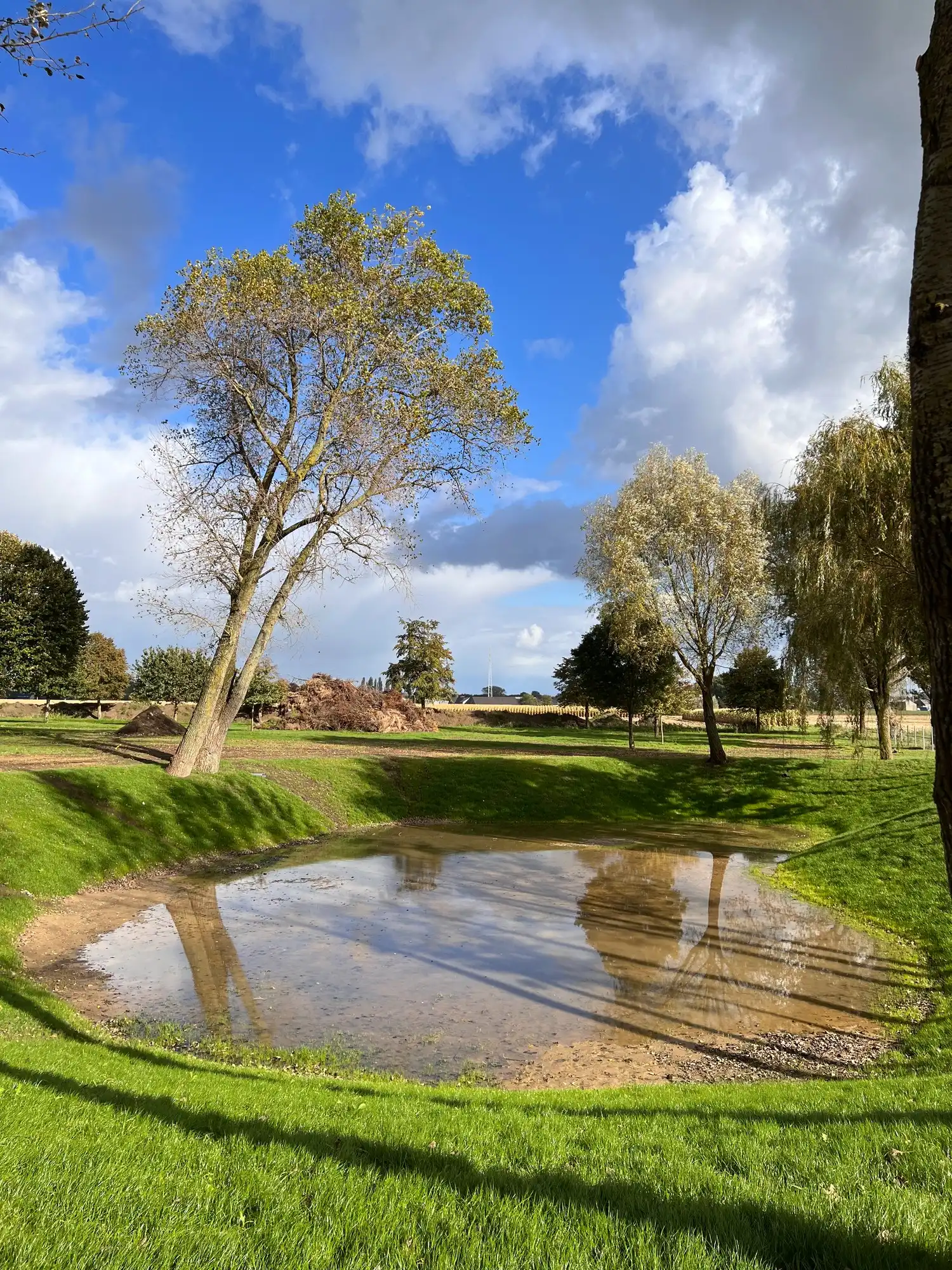 Instapklare villa met eventeel opslagruimte nabij Kortrijk op uiterst rustige ligging | Beiaardstraat foto 25