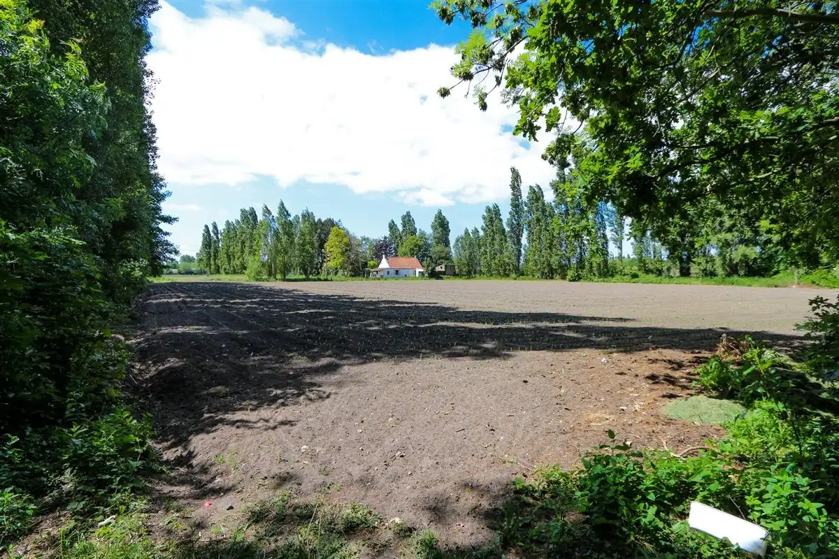 COMMERCIËLE TOPPER! foto 15