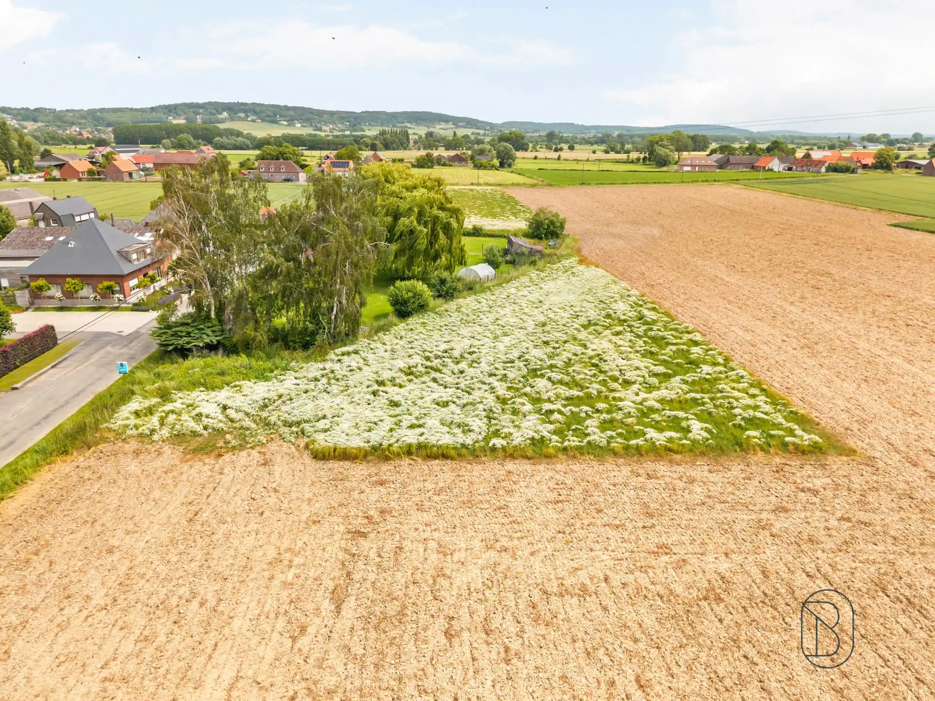Topgelegen bouwgrond van 2.030 m² te koop in Celles. foto 6