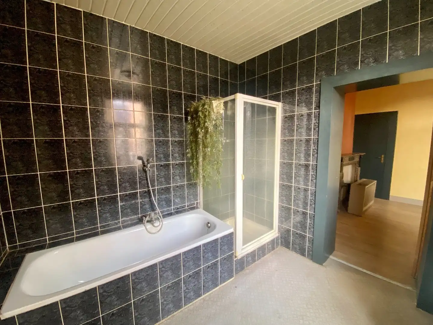 RUIM HANDELSPAND MET TAL VAN MOGELIJKHEDEN OP CENTRUM LOCATIE foto 22