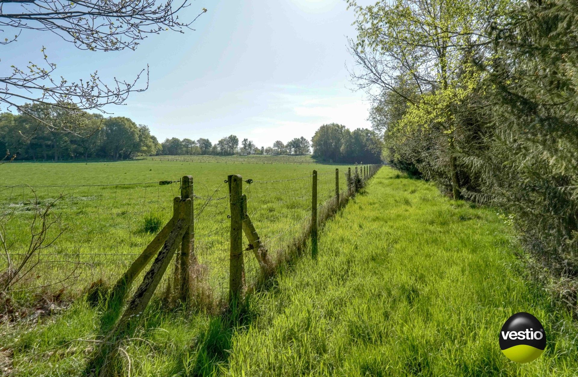 DEGELIJKE WONING MET WEILANDEN OP 1,7 HECTARE foto 16