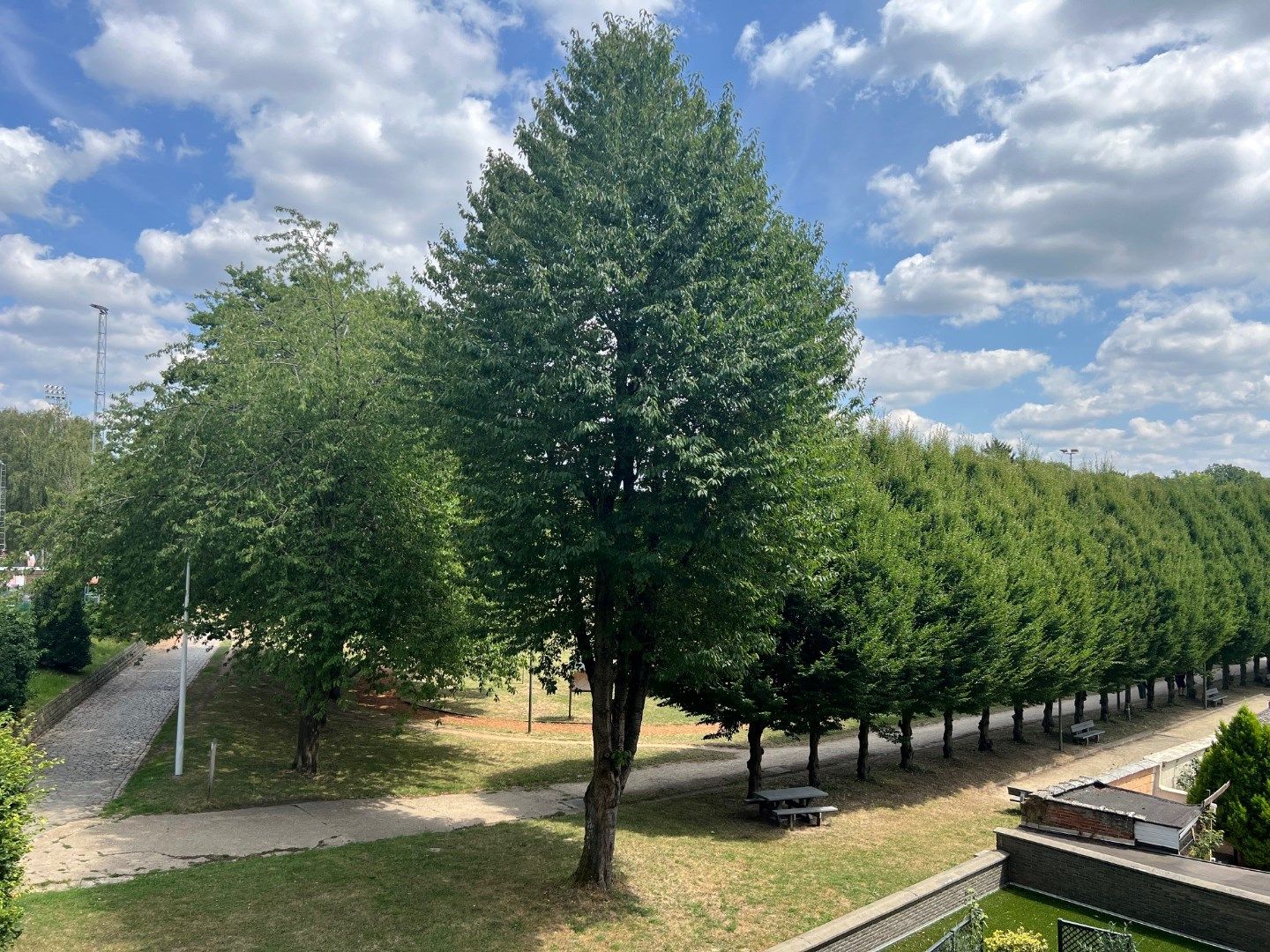 Appartement te Diest : 2 slpks, terras en staanplaats foto 12