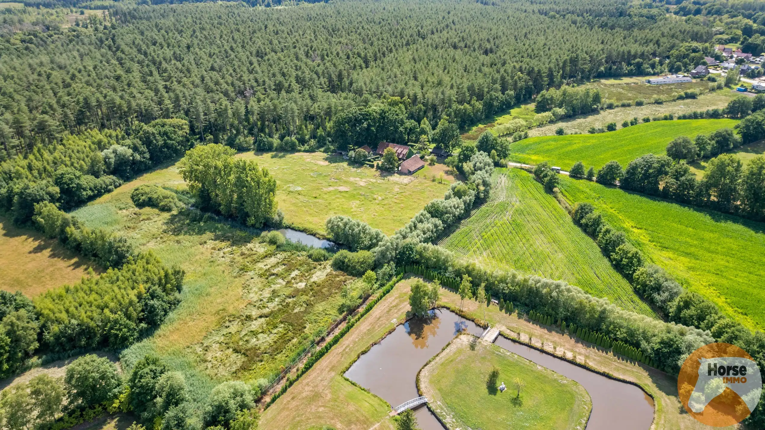 TESSENDERLO - Uniek gelegen hoeve met schuren op 3ha76 foto 3