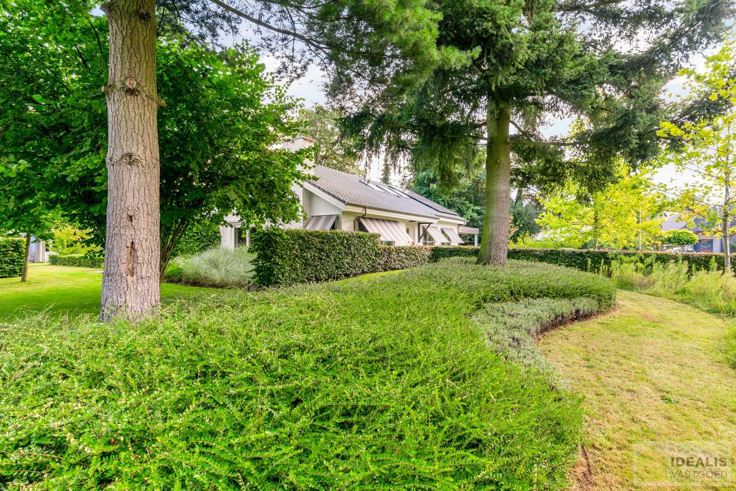 PRACHTIGE VILLA MET SCHITTERENDE ROYALE LEEFRUIMTES, UITGERUSTE KEUKEN, 2 BADKAMERS, 3 SLAAPKAMERS, CARPORT VOOR 2 WAGENS EN KNAP AANGELEGDE TUIN. DEZE KNAPPE VILLA OP EEN RESIDENTIELE LOCATIE BESCHIKT OP DE GELIJKVLOERSE VERDIEPING OVER EEN ROYALE INKOMHAL, RUIME LEEFRUIMTE MET AANSLUITEND EETKAMER EN PRAKTISCH UITGERUSTE LEEFKEUKEN MET EEN BIJKEUKEN/WASPLAATS MET TOEGANG TOT TERRAS, BADKAMER EN 2 SLAAPKAMERS; OP DE VERDIEPING BESCHIKT DE WONING OVER EEN PRACHTIGE MASTERBEDROOM MET AANSLUITEND EEN LUXUEUZE BADKAMER. EEN ‘MUST SEE’ VOOR KOPERS OP ZOEK IN HET MOOIE SEGMENT! foto 28