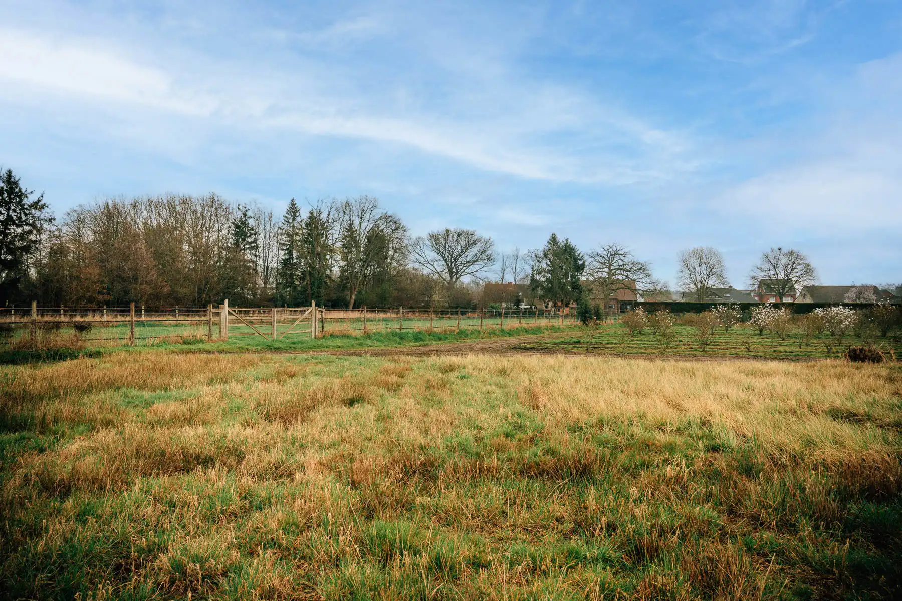 Moderne BEN-woning met zicht op groen foto 4