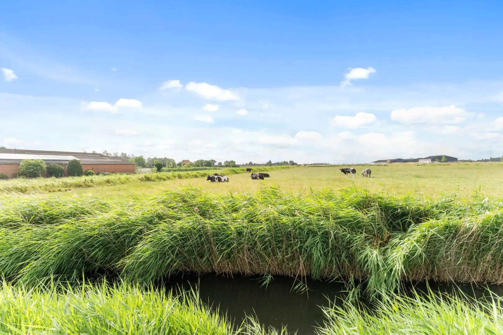 Te koop: Unieke bouwgrond in het hart van pittoresk Slijpe – 748 m² in een groene omgeving foto 6
