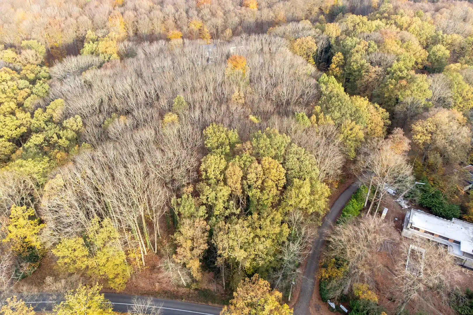 Prachtige bouwgrond van 22a 63ca te koop op een toplocatie in Hoog-Linden!  foto 2