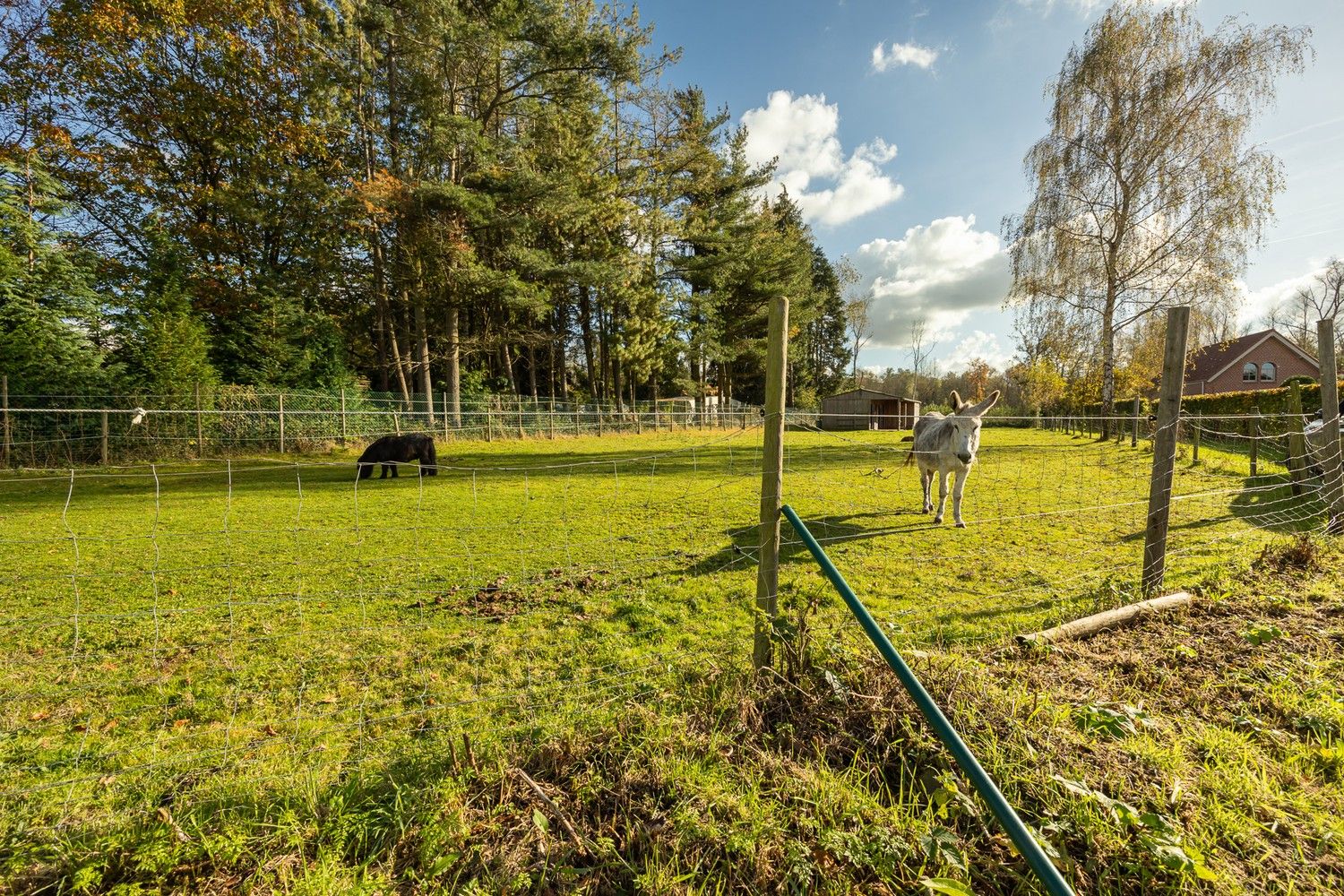 Landelijke charme villa met prachtige tuin grenzend aan natuurgebied foto 27