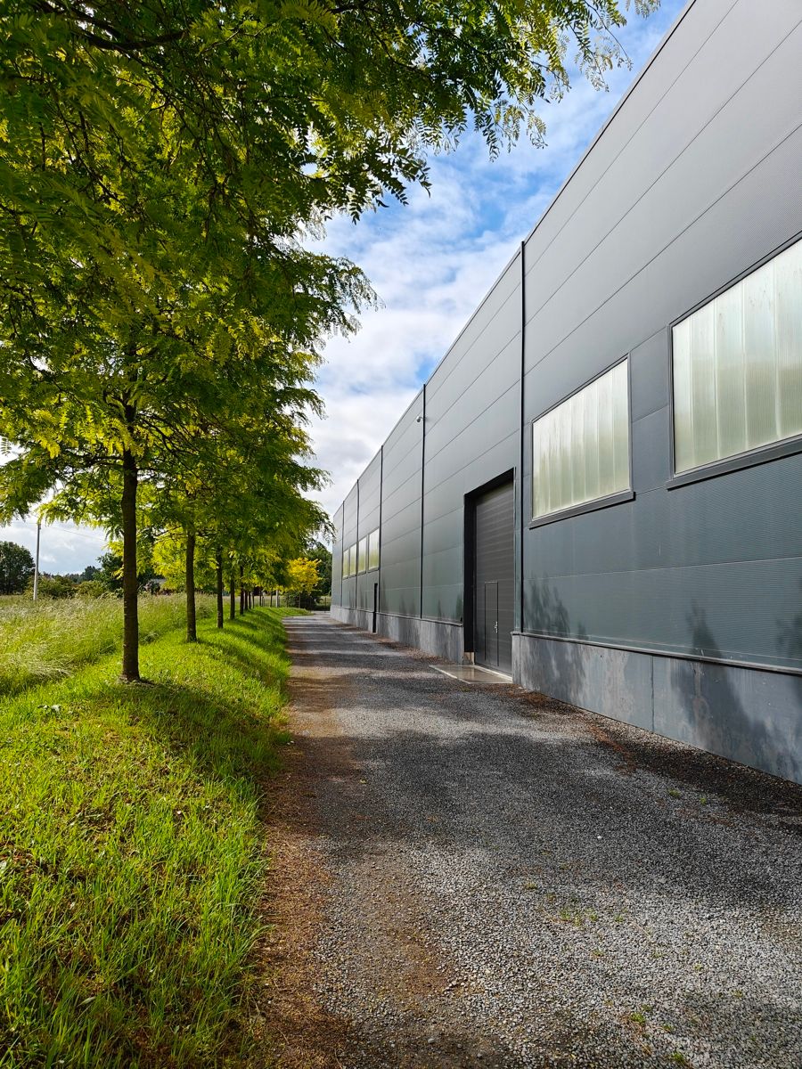 Ruime en veilige opslagplaats te huur in Deux-Acren (330 m²) foto 10