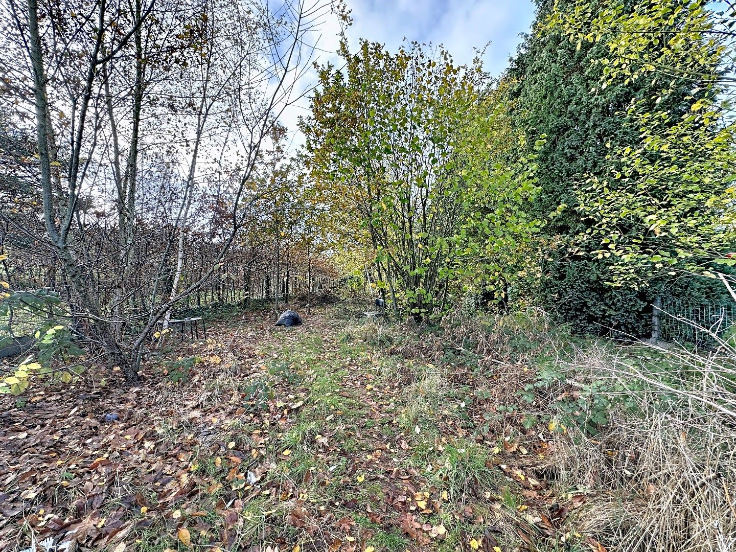 Ruime woning met tuin, terras, garage en 4 slaapkamers te Kessel-Lo! foto 26