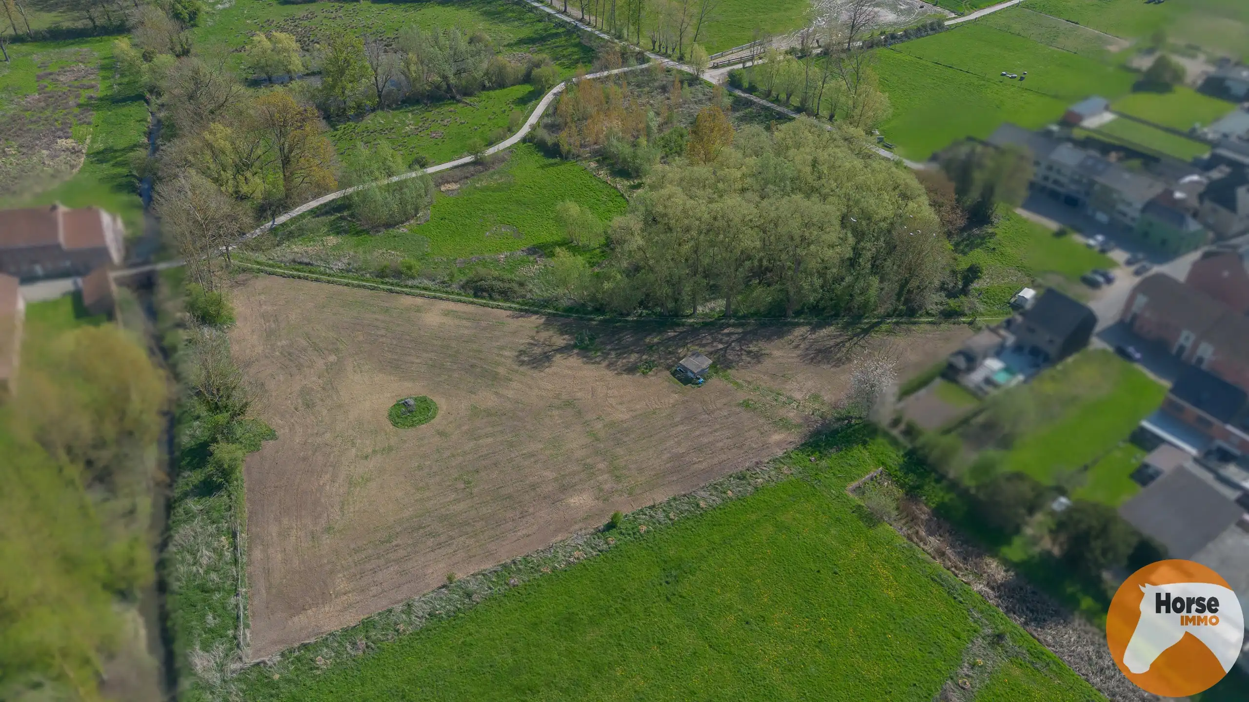 HELDERGEM – Goed bereikbare weide van 8.160 m² foto 5