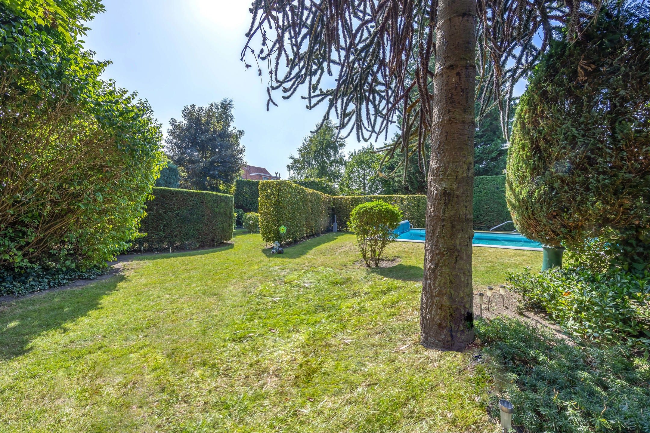 Karaktervolle woning met grote tuin en zwembad in hartje Lier foto 12