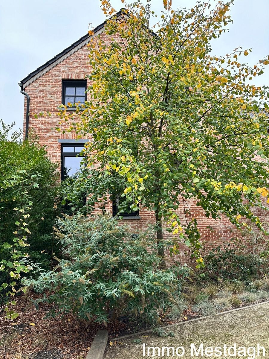 Zeer charmante en energiezuinige woning in centrum Diest foto 27