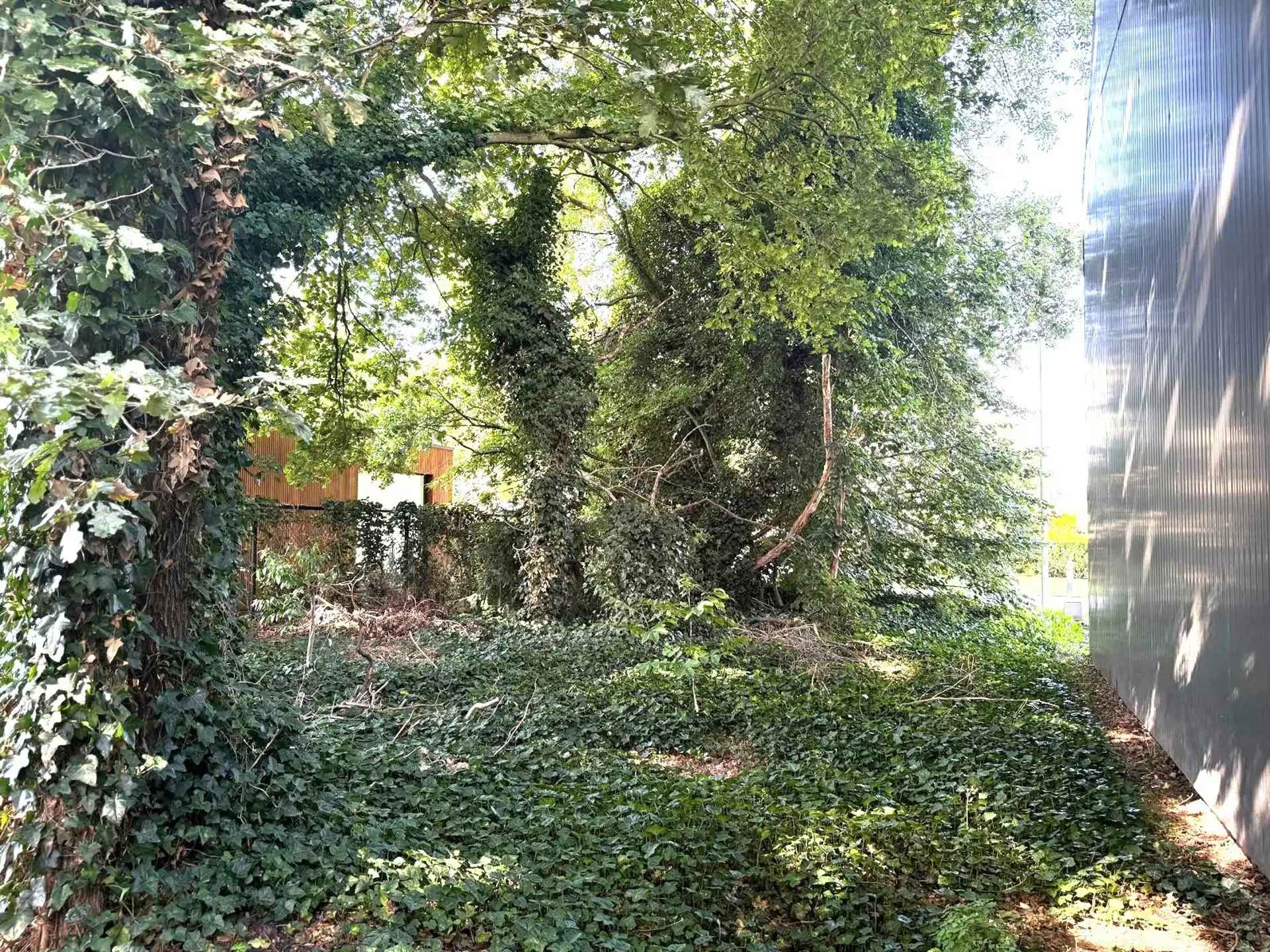 Bouwgrond voor HOB foto 7