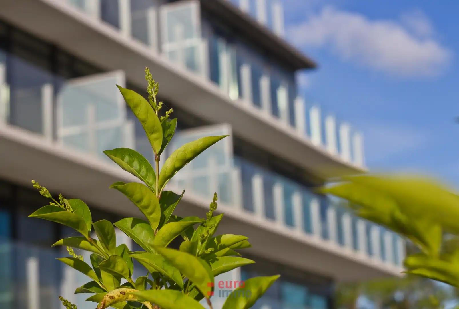 Ruime garagebox langs de waterlijn van Nieuwpoort-Stad! foto 5