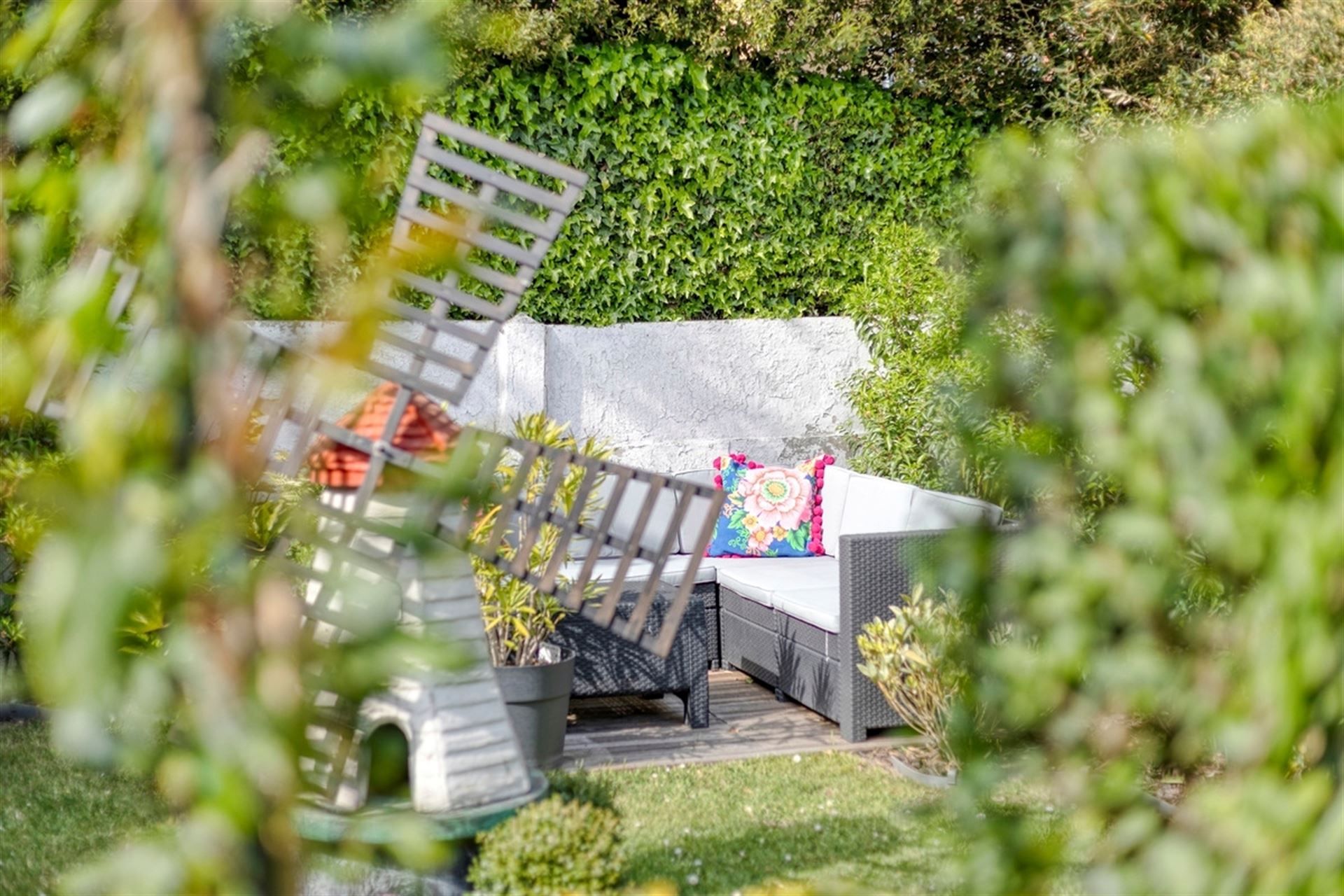 INSTAPKLAAR / ZONNIGE TUIN  foto 17