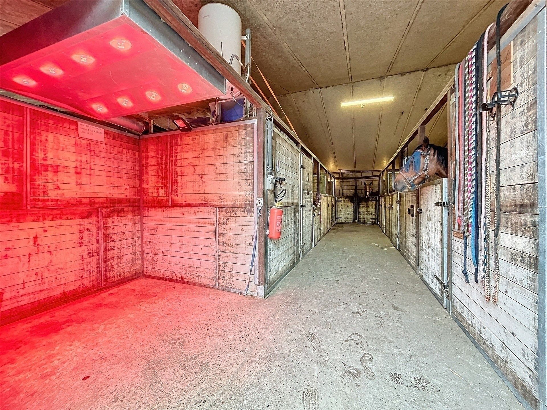 PRACHTIG GELEGEN HOEVE met bijgebouw, paardenstallen, binnenpiste en weiden op 18.385m² foto 38