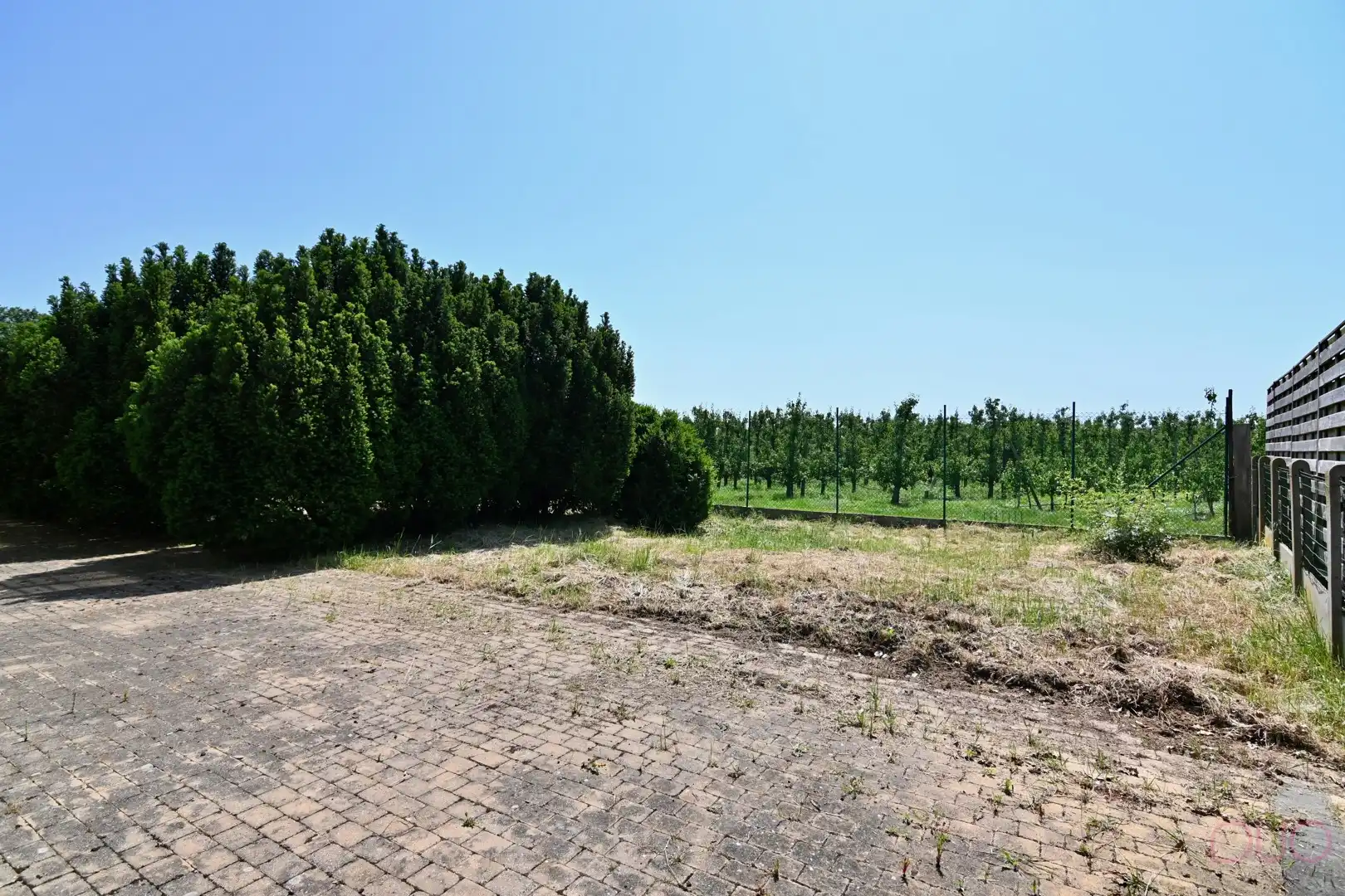 Instapklaar handelspand met bovenliggende woonst omgeven door groen op toplocatie tussen Sint-Truiden en Hasselt foto 34