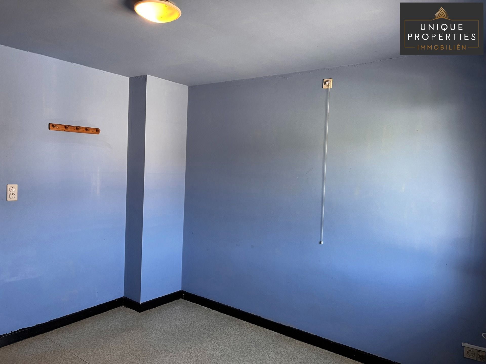 Huis te koop foto 48