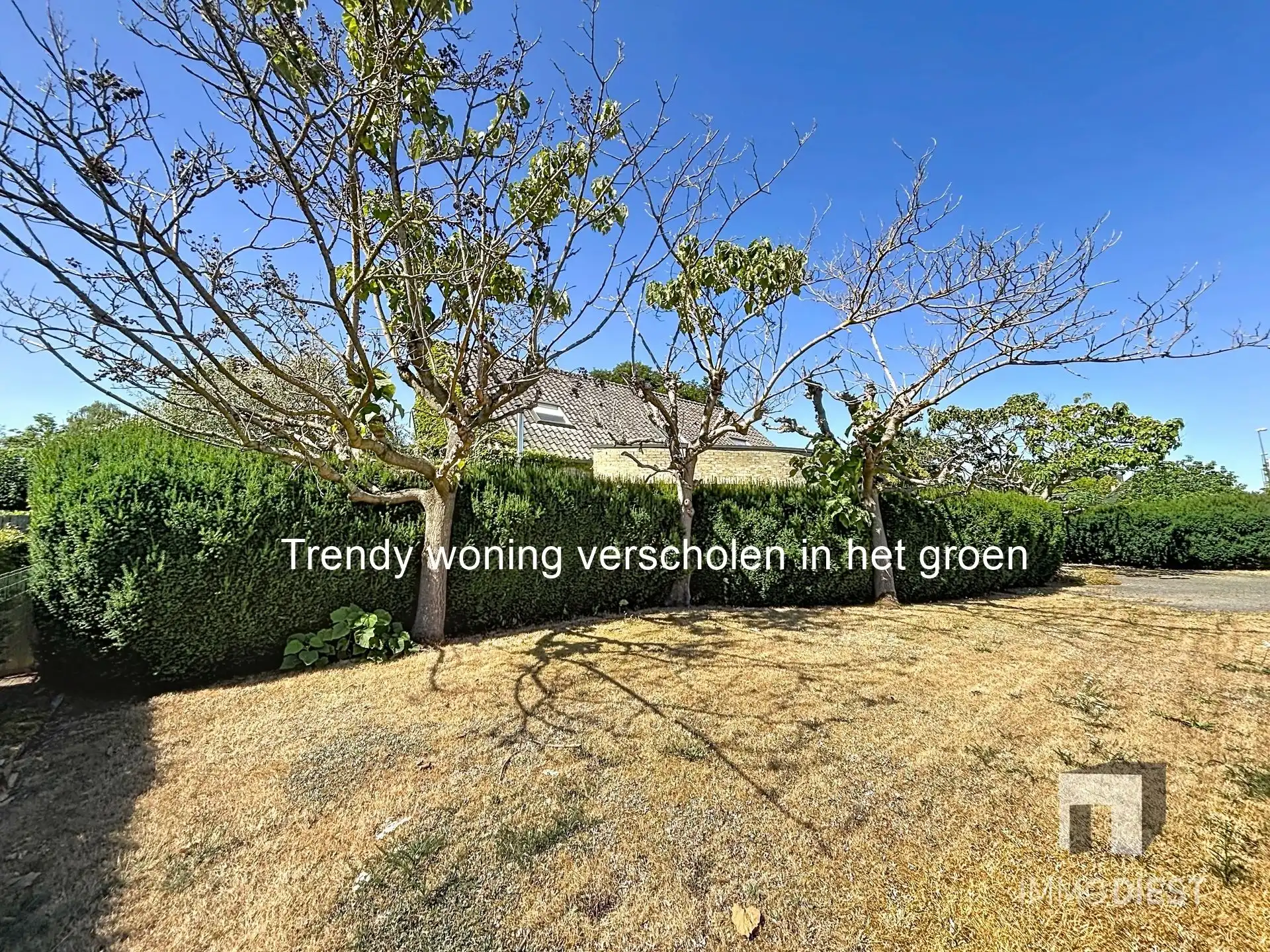 Trendy villa - 10are - 3slpk - Label B foto 2