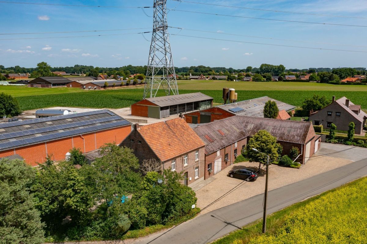 Hoeve met gronden te koop te Kinrooi foto 4