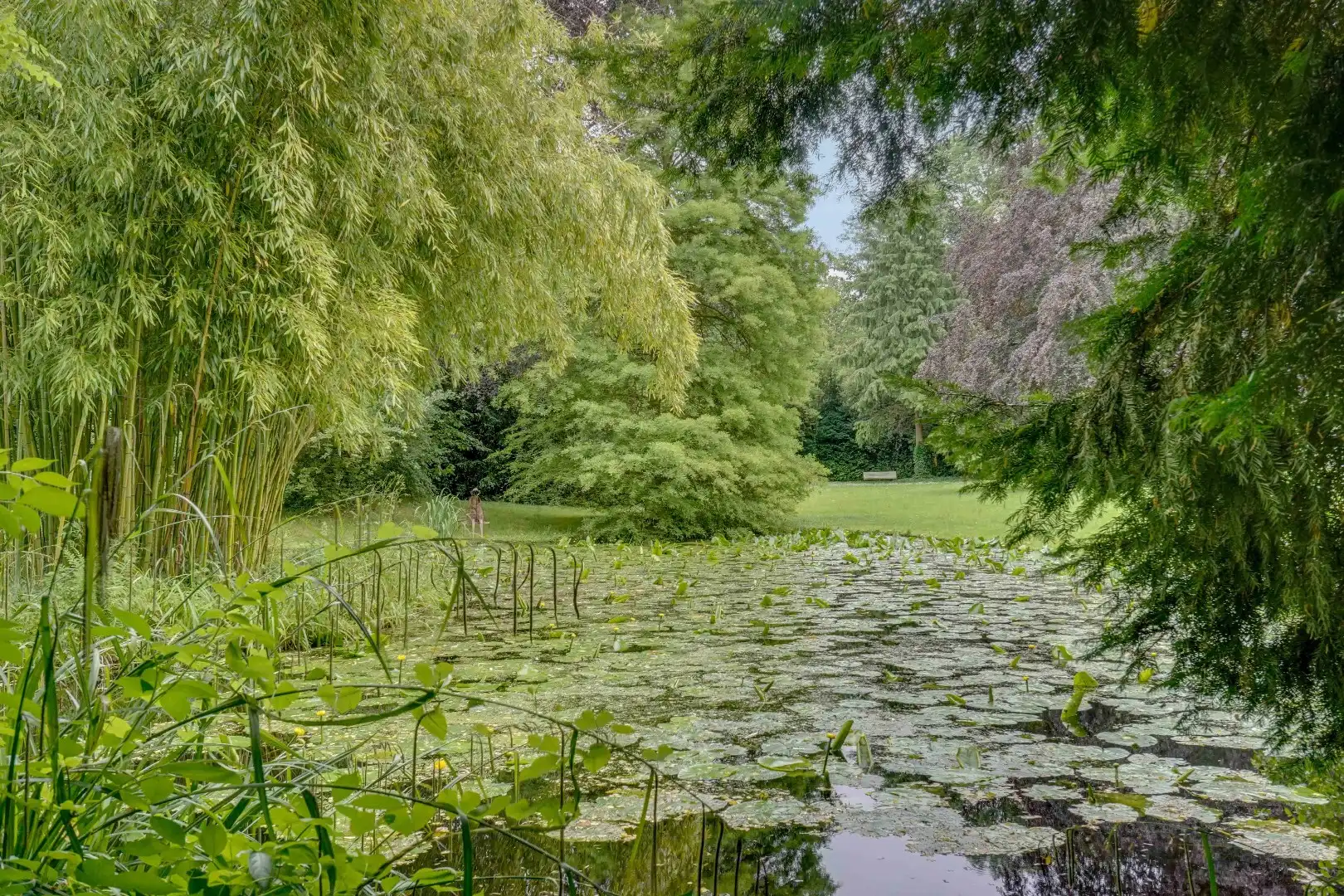 HISTORISCH HERENHUIS MET PARKTUIN OP 1HA 21A 94CA IN HET HART VAN OUD-REKEM ! foto 32