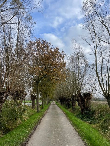 Prachtig gelegen perceel landbouwgrond 71515 m² foto 5