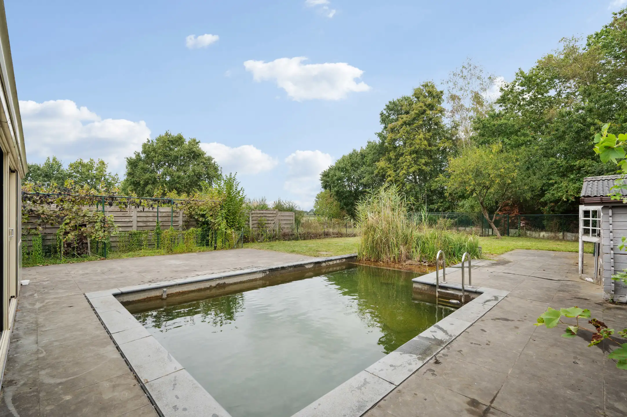 Huis te huur foto 12