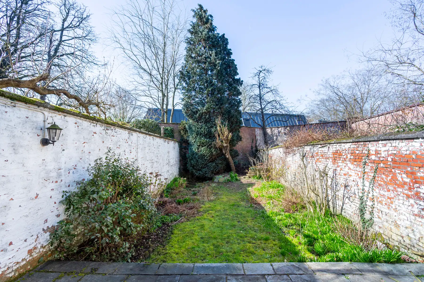 Te renoveren herenwoning met ruime tuin in Zurenborg foto 3