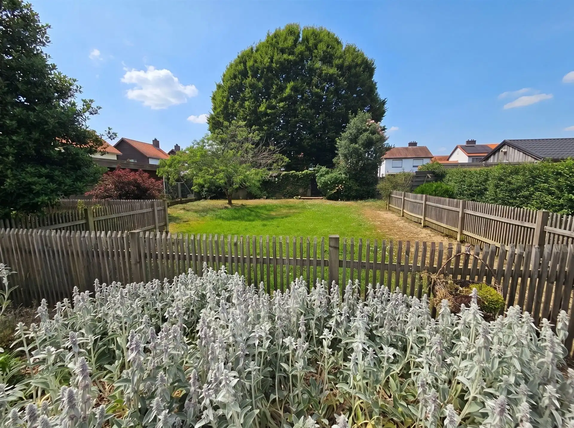 Zeer rustig gelegen woning met 3 slpk op een mooi perceel nabij de dorpskern van Hulshout foto 2