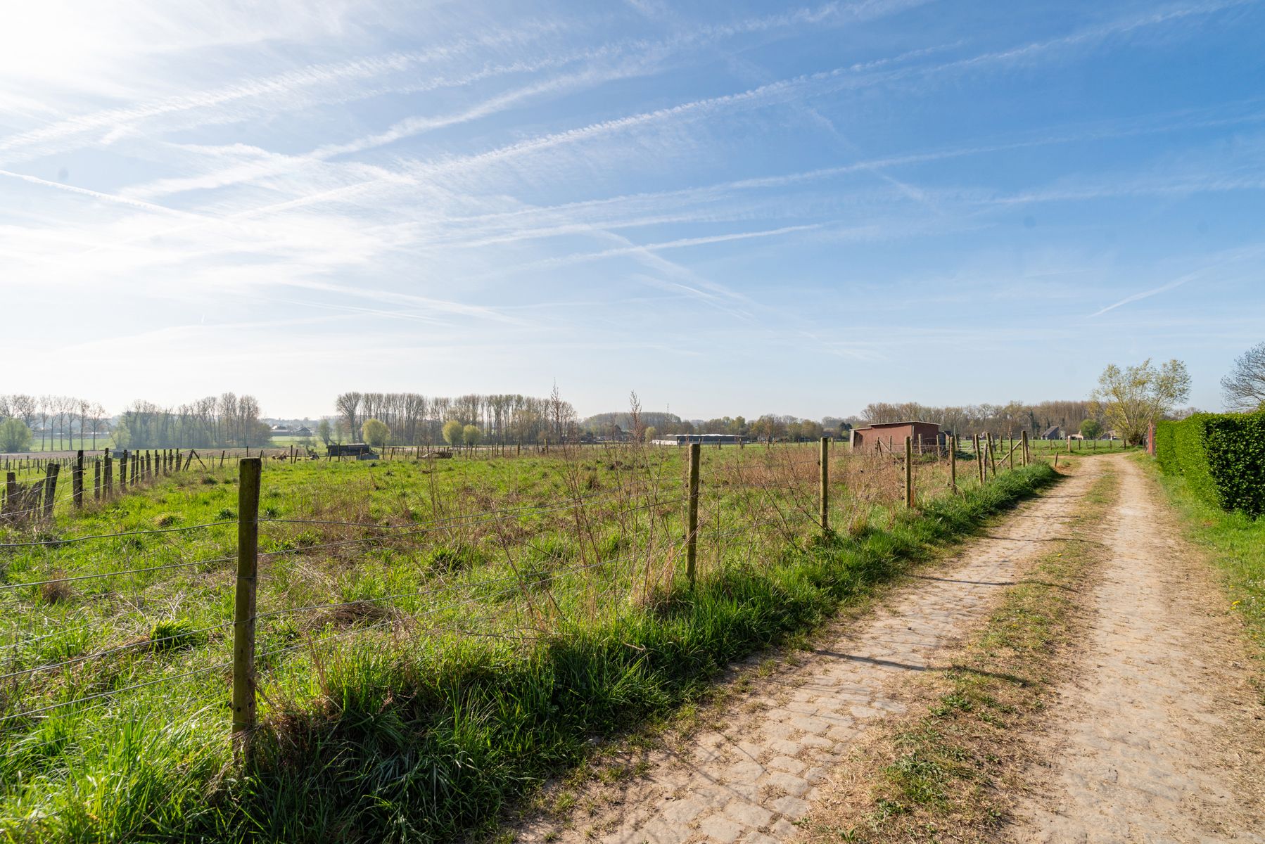 Te renoveren HOB met 3 slaapkamers op begeerde ligging  foto 16