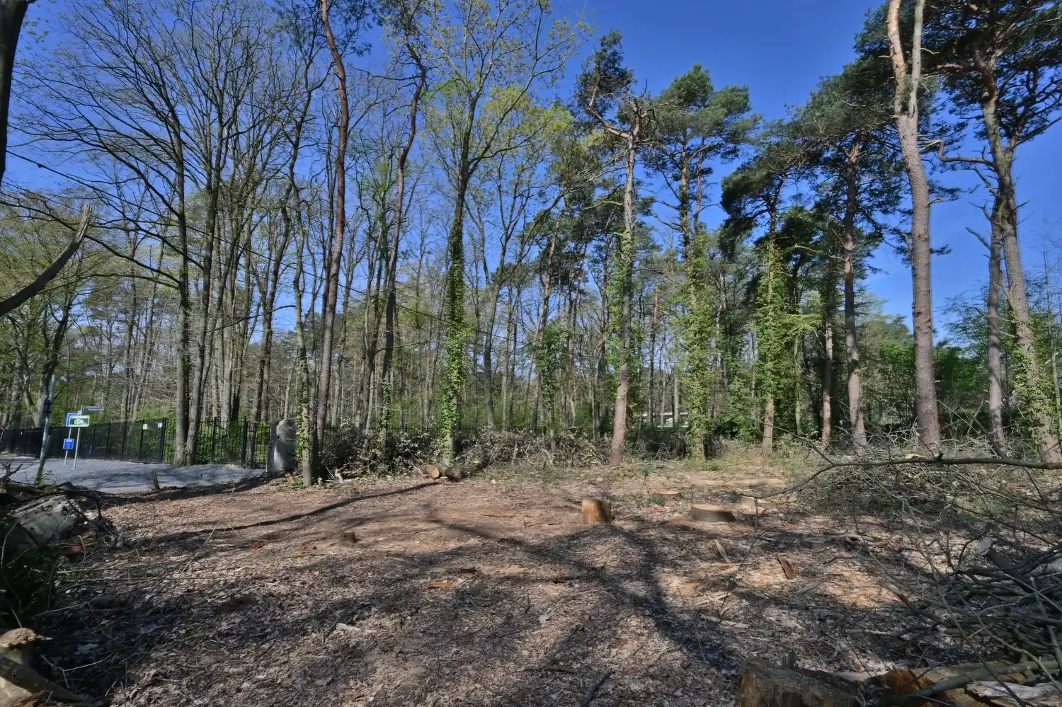 Bouwgrond (vrijstaande bebouwing) exclusief gelegen in bosrijke villawijk te Neerharen foto 5