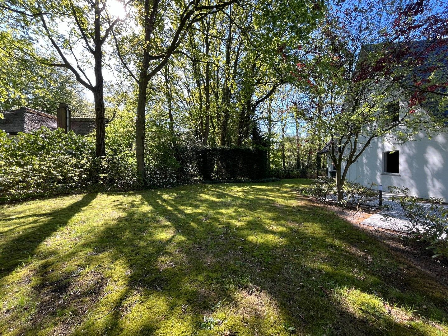 Aangename villa (EPC B!) op zuidperceel 1.893m² in Vriesdonk foto 2