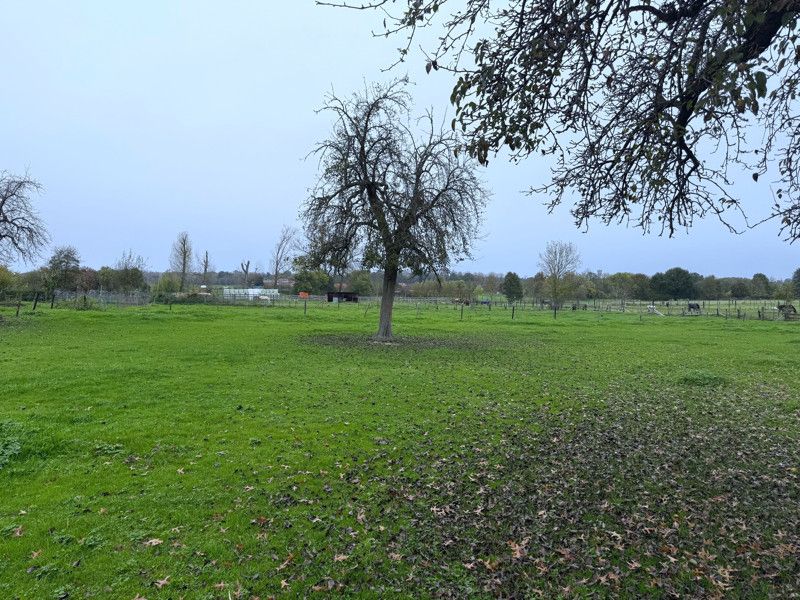 Weide van 34are gelegen langs de Halensebaan in Waanrode foto 3