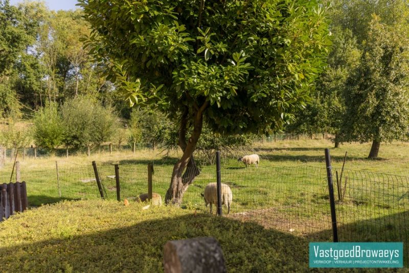 Uniek gelegen landhuis te koop omringd door een oase van groen foto 5