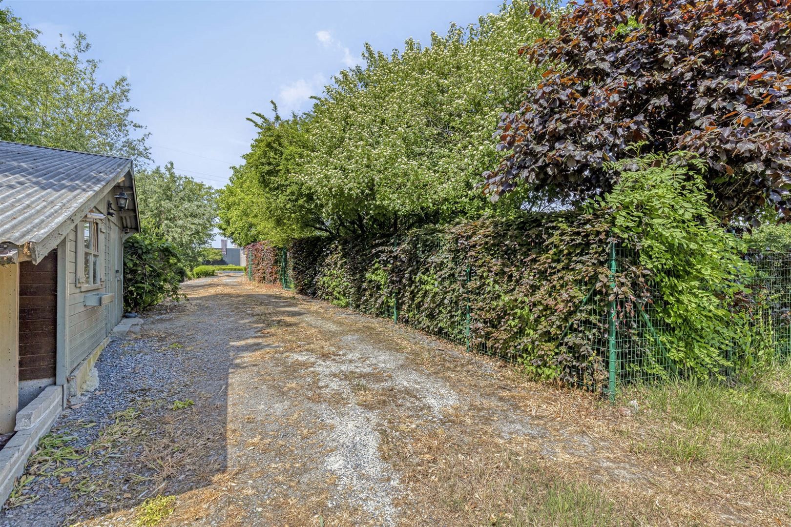 Huis + weiland foto 30
