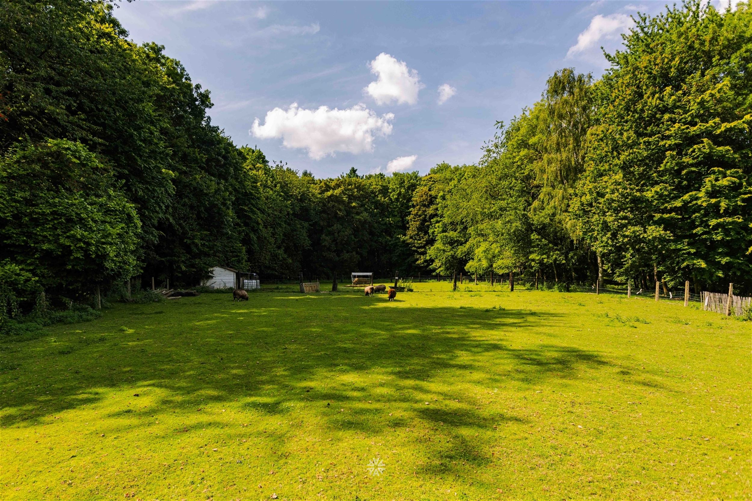 Uniek gelegen landgoed met gite midden de bossen foto 27